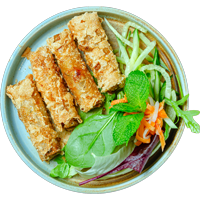 vegan spring rolls